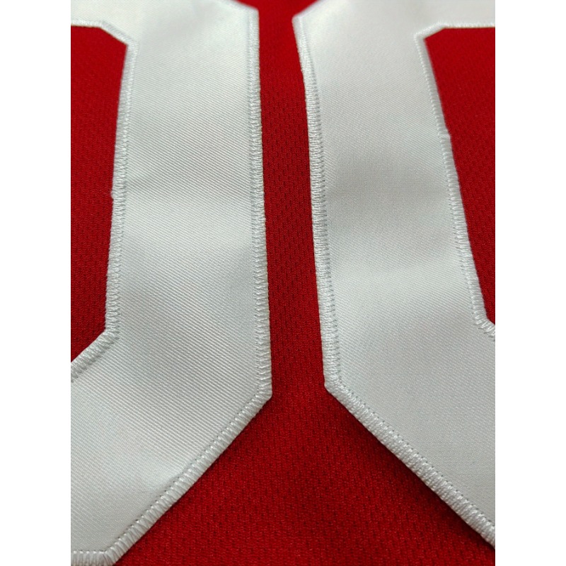 Basketball-Trikot mit individu – Embroidery Names Bewertung und Preis
